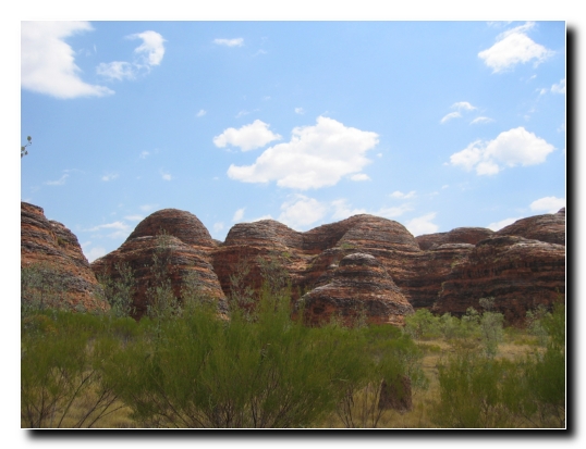 11 Mehr Bungle Bungles